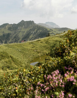 Ein wunderschöner Blick auf das Großarltal