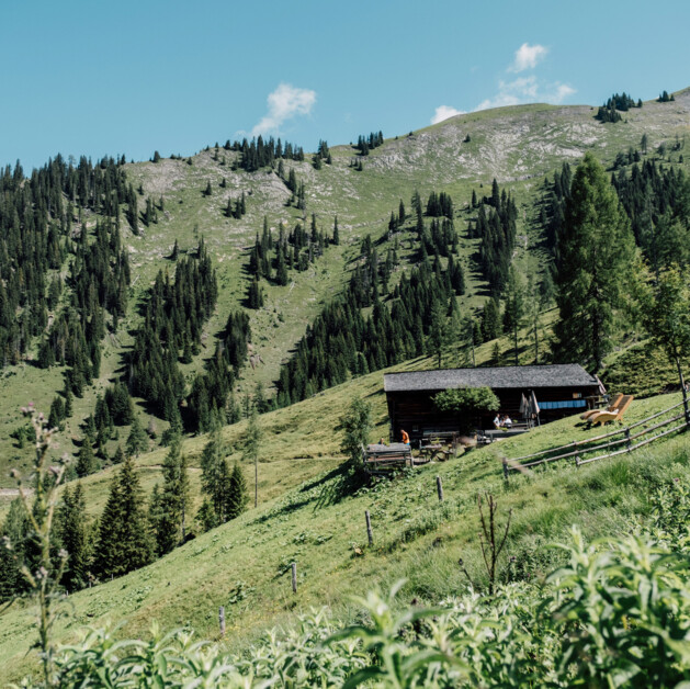 Urlaub Im Großarltal - Das Tal Der Almen | B&B Hotel Diellehen